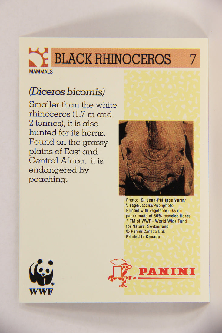 Wildlife In Danger WWF 1992 Trading Card #7 Black Rhinoceros ENG L016948