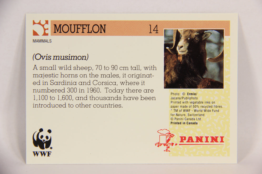 Wildlife In Danger WWF 1992 Trading Card #14 Moufflon ENG L016950