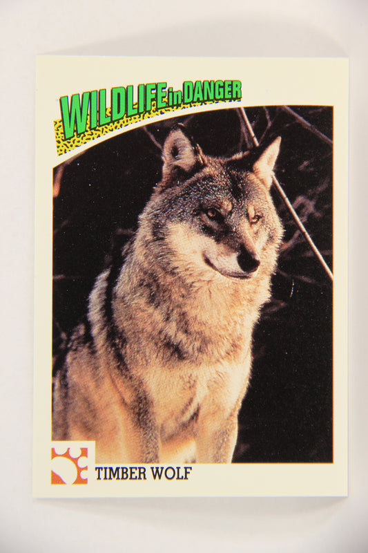 Wildlife In Danger WWF 1992 Trading Card #16 Timber Wolf ENG L016952