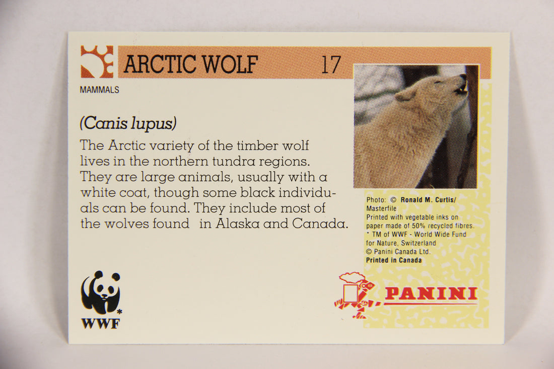 Wildlife In Danger WWF 1992 Trading Card #17 Arctic Wolf ENG L016953