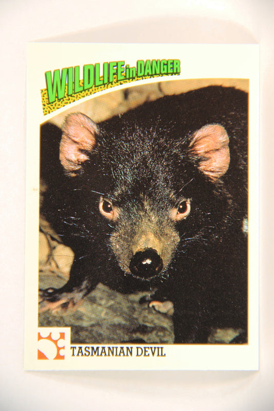 Wildlife In Danger WWF 1992 Trading Card #18 Tasmanian Devil ENG L016954