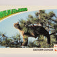 Wildlife In Danger WWF 1992 Trading Card #19 Eastern Cougar ENG L016955