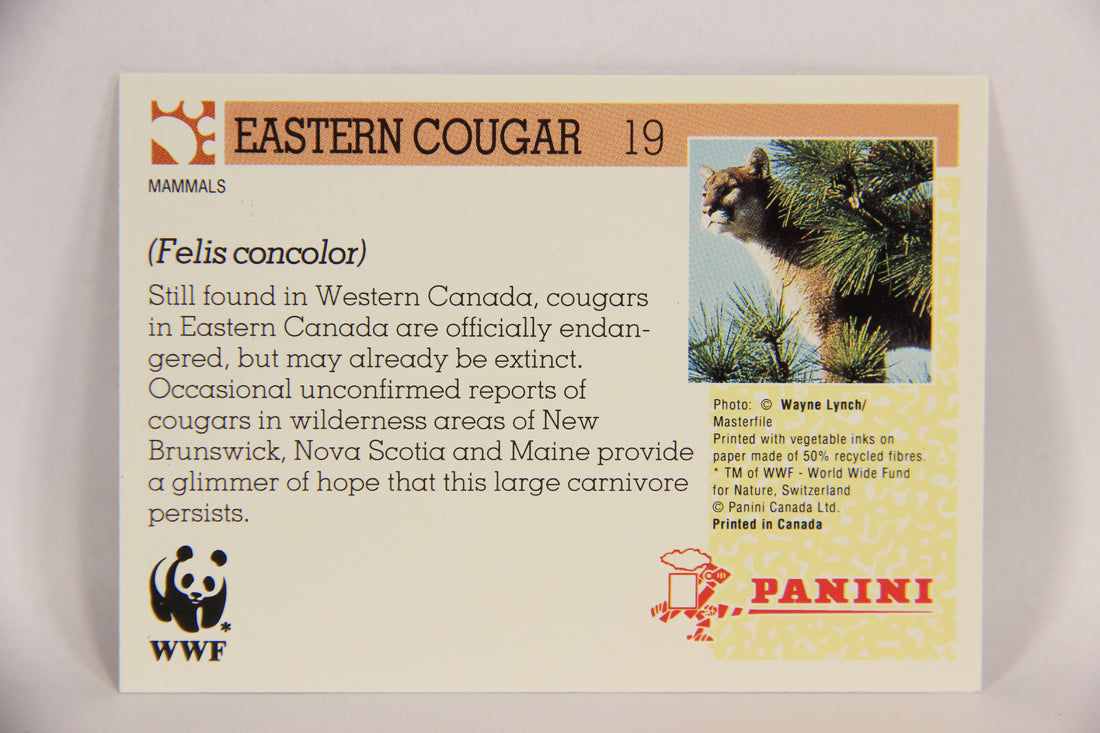 Wildlife In Danger WWF 1992 Trading Card #19 Eastern Cougar ENG L016955