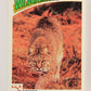 Wildlife In Danger WWF 1992 Trading Card #20 Bobcat ENG L016956