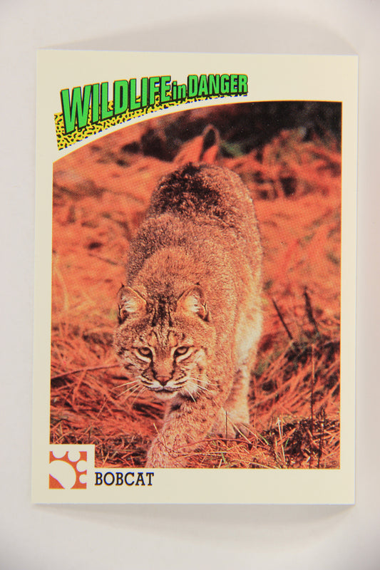 Wildlife In Danger WWF 1992 Trading Card #20 Bobcat ENG L016956