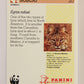 Wildlife In Danger WWF 1992 Trading Card #20 Bobcat ENG L016956