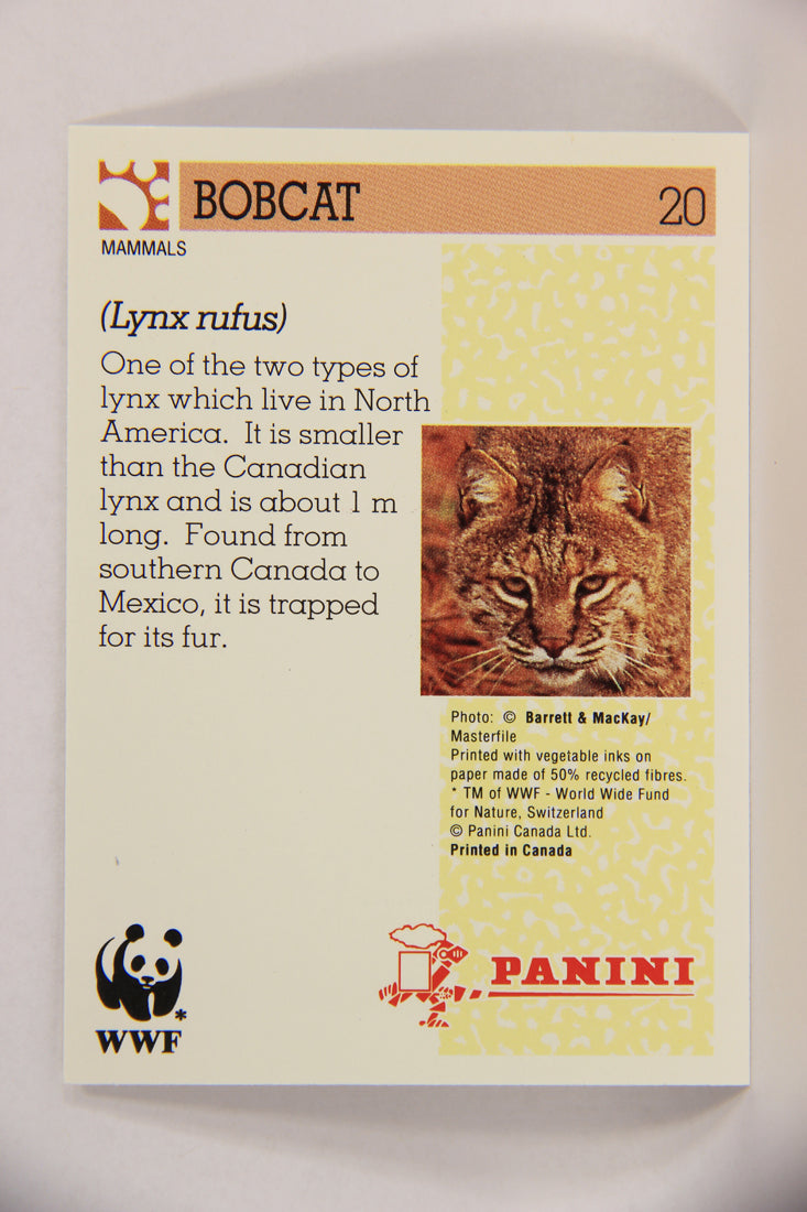 Wildlife In Danger WWF 1992 Trading Card #20 Bobcat ENG L016956