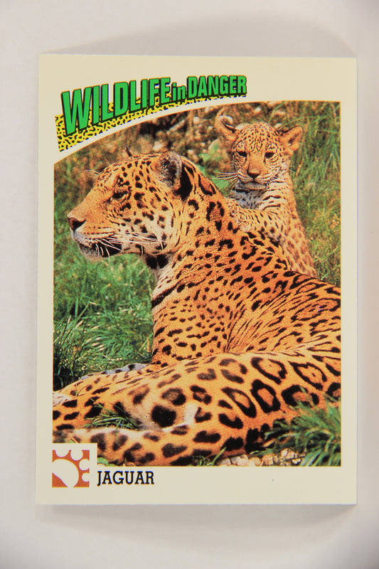 Wildlife In Danger WWF 1992 Trading Card #21 Jaguar ENG L016957