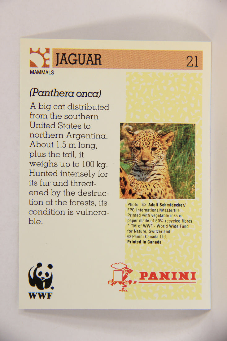 Wildlife In Danger WWF 1992 Trading Card #21 Jaguar ENG L016957