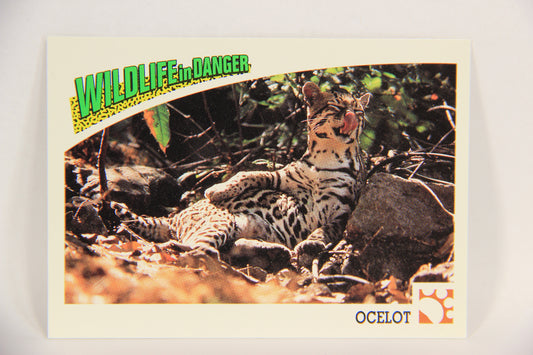 Wildlife In Danger WWF 1992 Trading Card #22 Ocelot ENG L016958