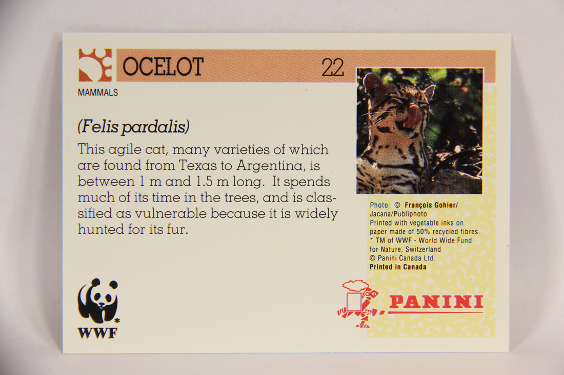 Wildlife In Danger WWF 1992 Trading Card #22 Ocelot ENG L016958