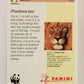 Wildlife In Danger WWF 1992 Trading Card #23 Lion ENG L016959