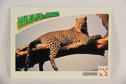 Wildlife In Danger WWF 1992 Trading Card #24 Leopard ENG L016960