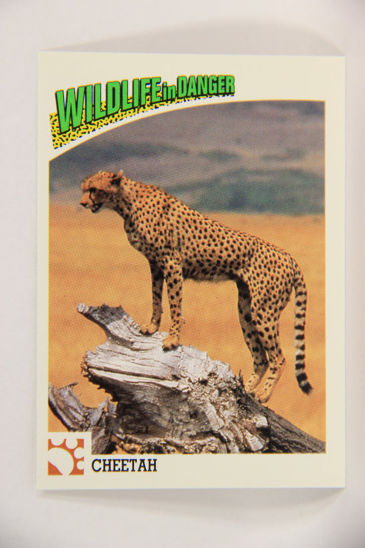 Wildlife In Danger WWF 1992 Trading Card #25 Cheetah ENG L016961