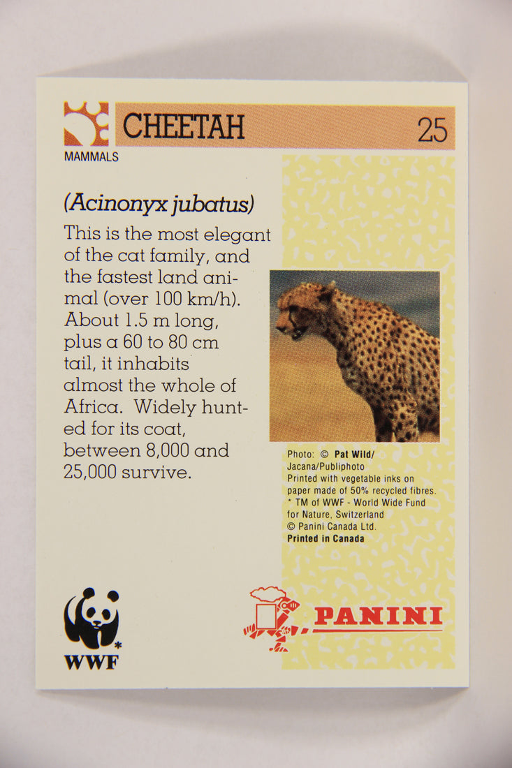 Wildlife In Danger WWF 1992 Trading Card #25 Cheetah ENG L016961