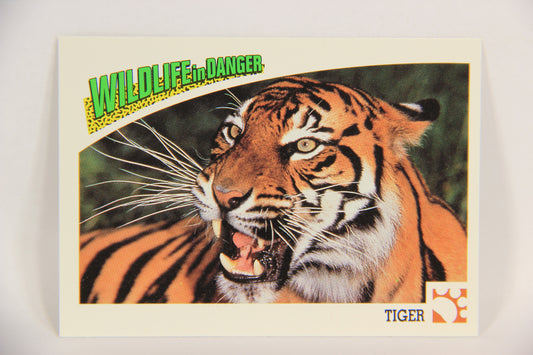 Wildlife In Danger WWF 1992 Trading Card #26 Tiger ENG L016962