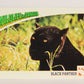 Wildlife In Danger WWF 1992 Trading Card #27 Black Panther ENG L016963