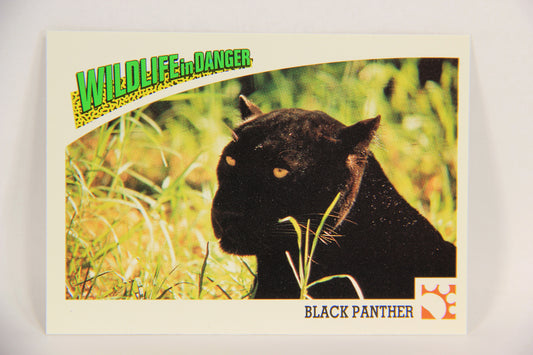 Wildlife In Danger WWF 1992 Trading Card #27 Black Panther ENG L016963