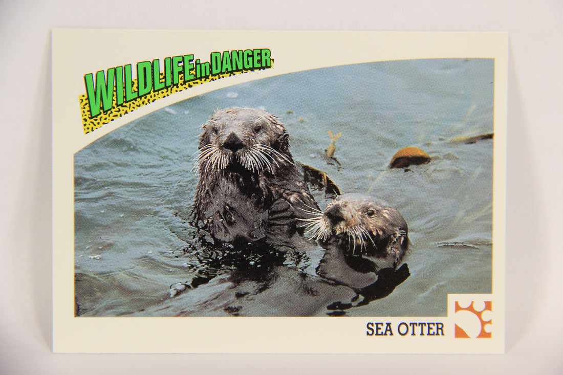 Wildlife In Danger WWF 1992 Trading Card #29 Sea Otter ENG L016965