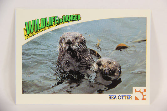 Wildlife In Danger WWF 1992 Trading Card #29 Sea Otter ENG L016965