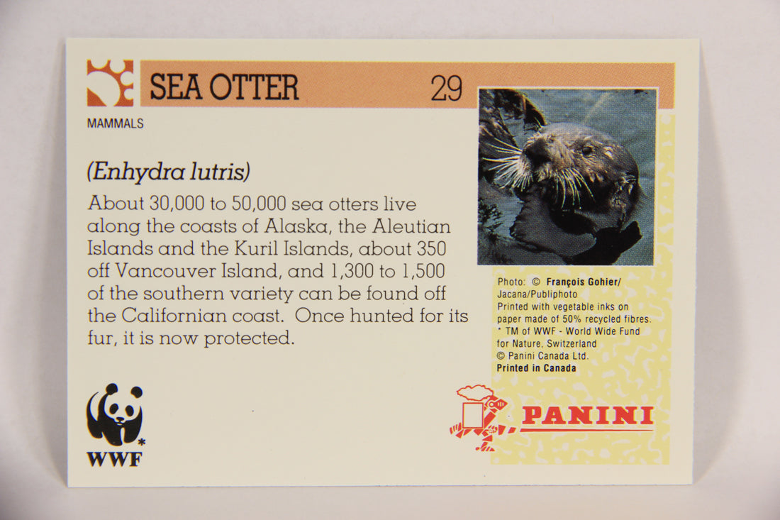 Wildlife In Danger WWF 1992 Trading Card #29 Sea Otter ENG L016965