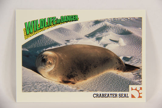 Wildlife In Danger WWF 1992 Trading Card #30 Crabeater Seal ENG L016966