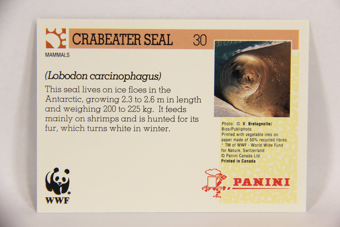 Wildlife In Danger WWF 1992 Trading Card #30 Crabeater Seal ENG L016966