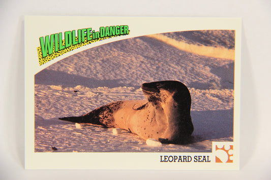 Wildlife In Danger WWF 1992 Trading Card #31 Leopard Seal ENG L016967