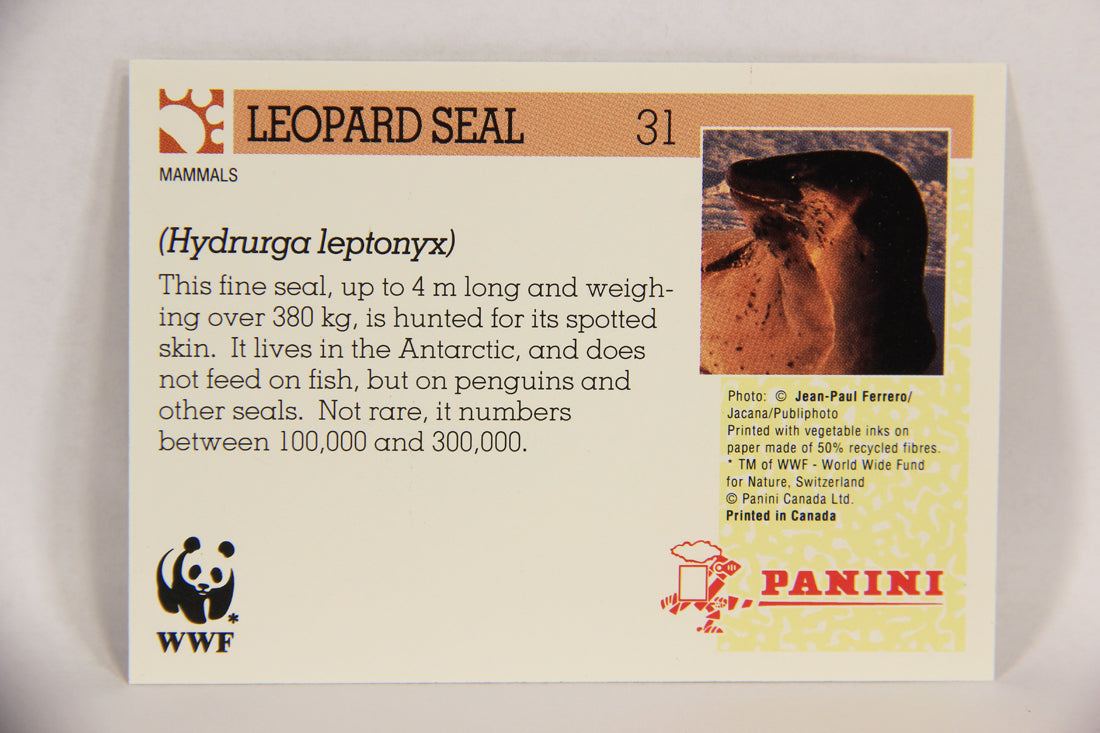 Wildlife In Danger WWF 1992 Trading Card #31 Leopard Seal ENG L016967