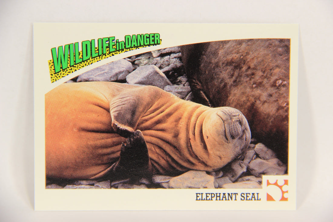 Wildlife In Danger WWF 1992 Trading Card #32 Elephant Seal ENG L016968