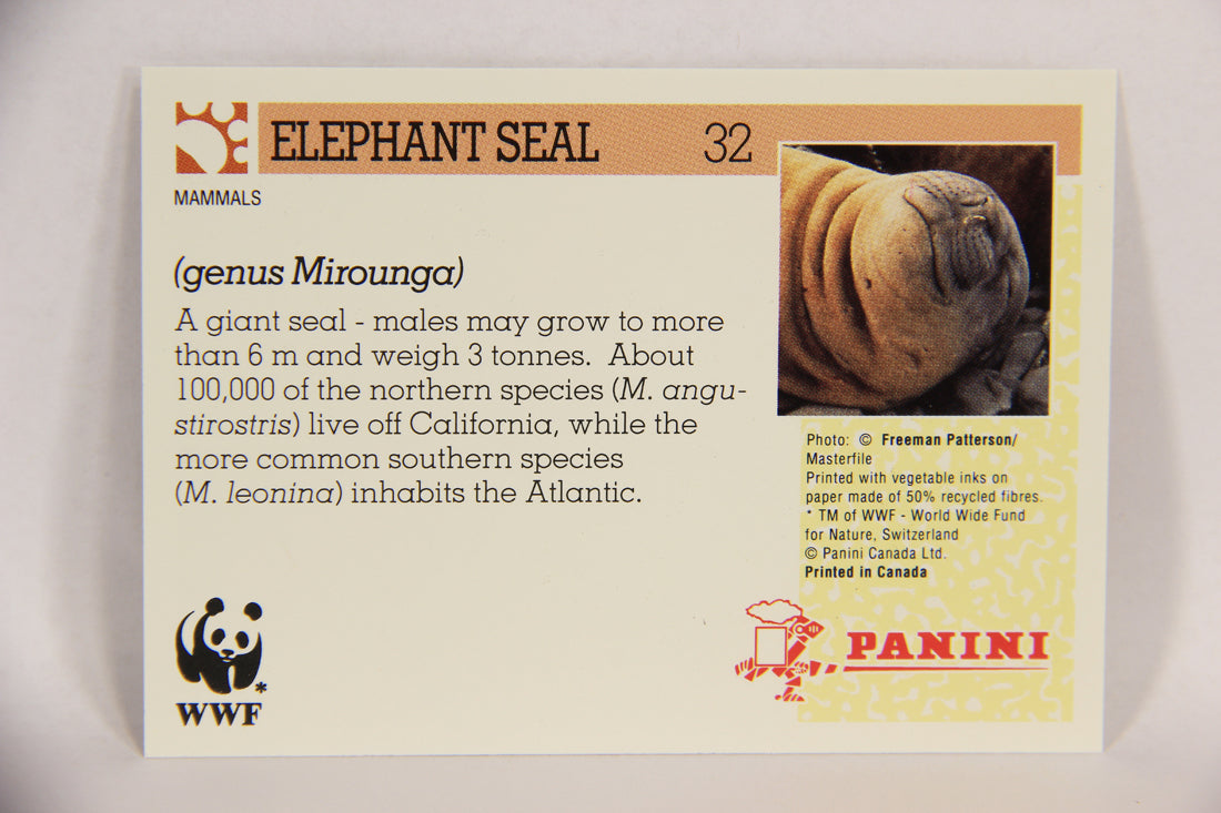 Wildlife In Danger WWF 1992 Trading Card #32 Elephant Seal ENG L016968