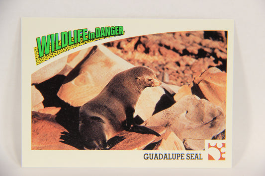 Wildlife In Danger WWF 1992 Trading Card #33 Guadalupe Fur Seal ENG L016969