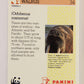 Wildlife In Danger WWF 1992 Trading Card #34 Walrus ENG L016970