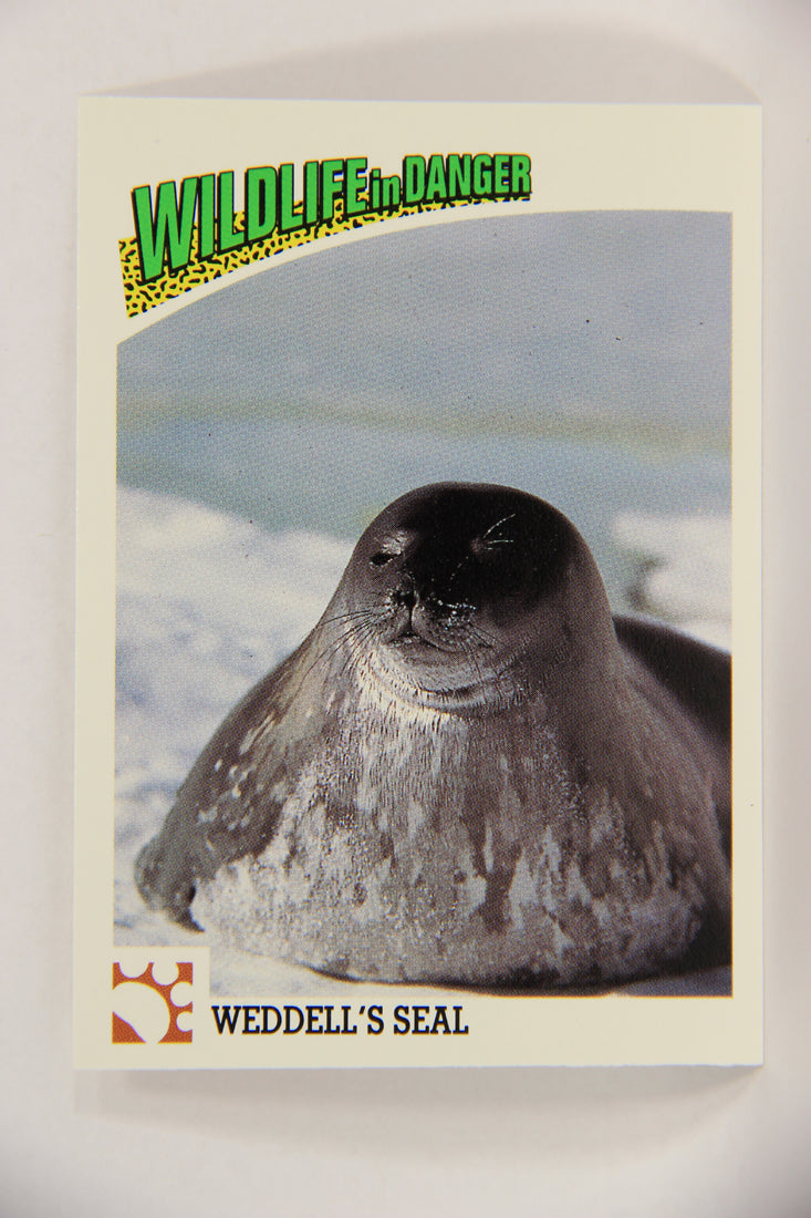 Wildlife In Danger WWF 1992 Trading Card #35 Weddell's Seal ENG L016971