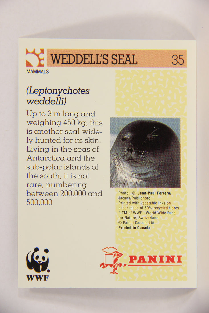 Wildlife In Danger WWF 1992 Trading Card #35 Weddell's Seal ENG L016971