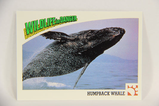 Wildlife In Danger WWF 1992 Trading Card #38 Humpback Whale ENG L016974