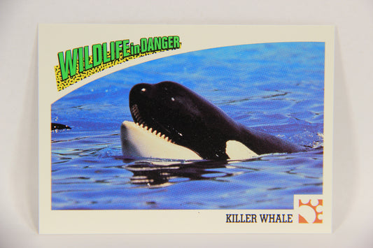 Wildlife In Danger WWF 1992 Trading Card #40 Killer Whale ENG L016976