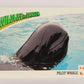 Wildlife In Danger WWF 1992 Trading Card #41 Pilot Whale ENG L016977