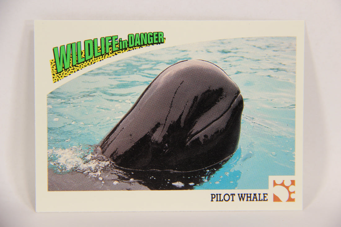 Wildlife In Danger WWF 1992 Trading Card #41 Pilot Whale ENG L016977