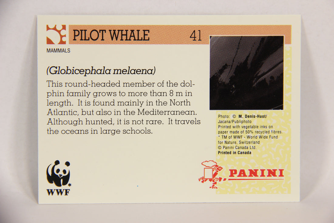 Wildlife In Danger WWF 1992 Trading Card #41 Pilot Whale ENG L016977