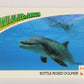 Wildlife In Danger WWF 1992 Trading Card #42 Bottle-Nosed Dolphin ENG L016978