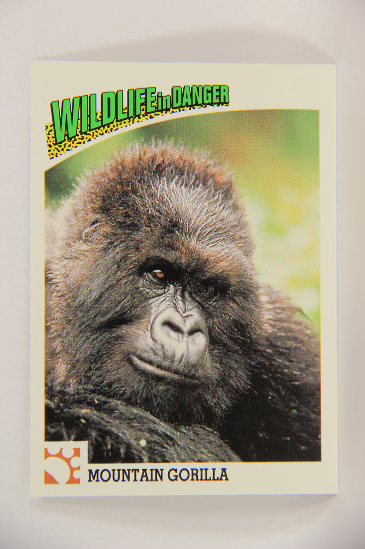 Wildlife In Danger WWF 1992 Trading Card #43 Mountain Gorilla ENG L016979