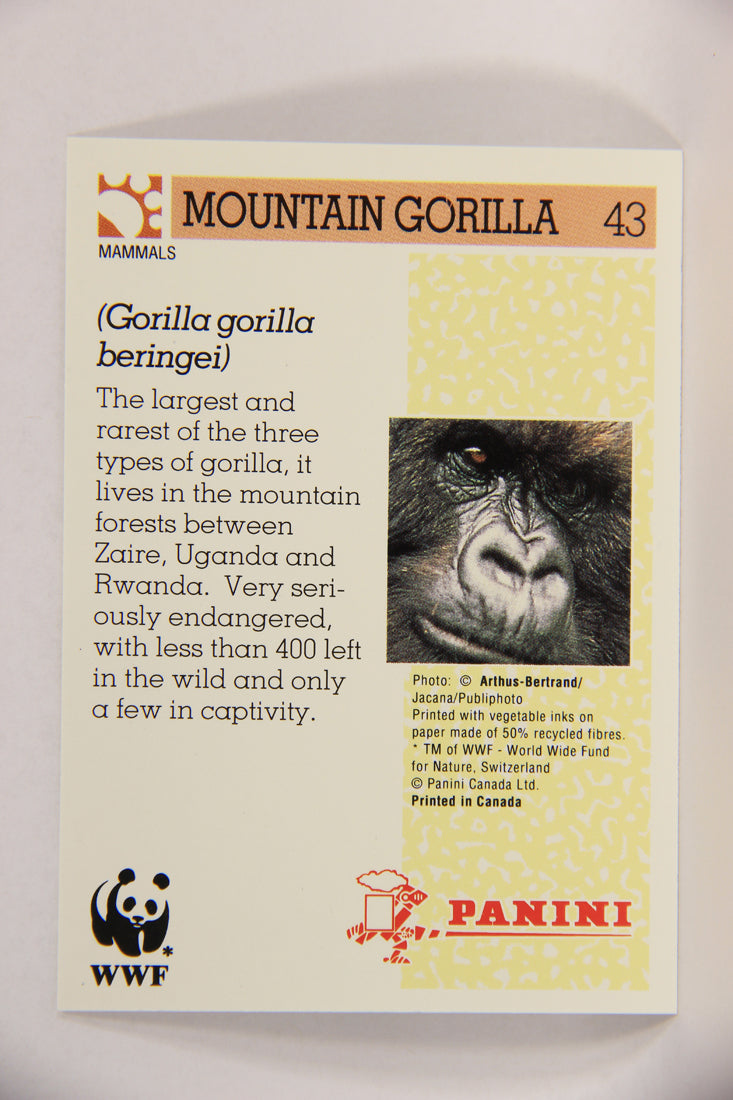 Wildlife In Danger WWF 1992 Trading Card #43 Mountain Gorilla ENG L016979