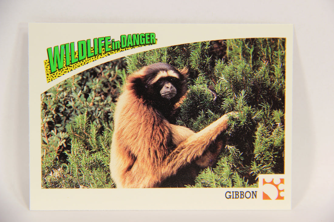 Wildlife In Danger WWF 1992 Trading Card #44 Gibbon ENG L016980