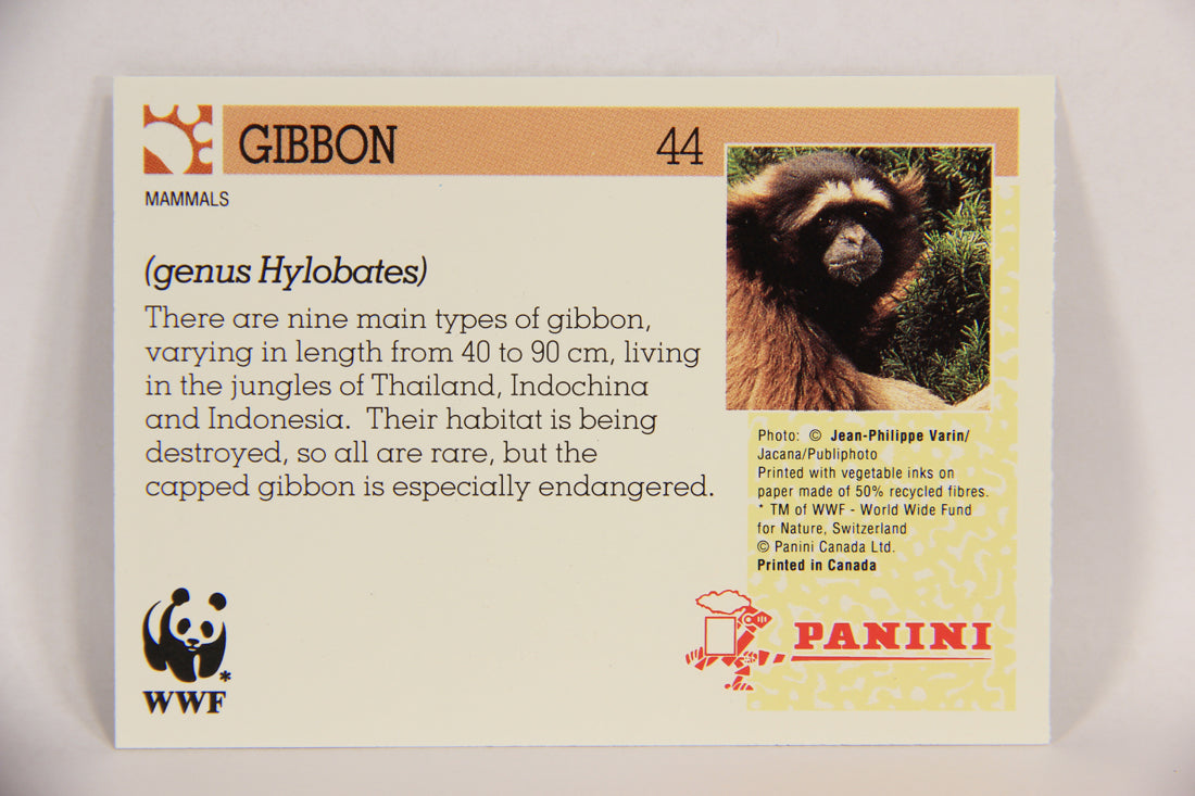 Wildlife In Danger WWF 1992 Trading Card #44 Gibbon ENG L016980