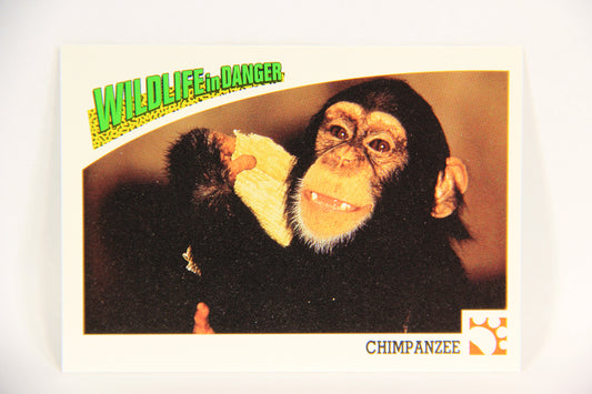 Wildlife In Danger WWF 1992 Trading Card #45 Chimpanzee ENG L016981