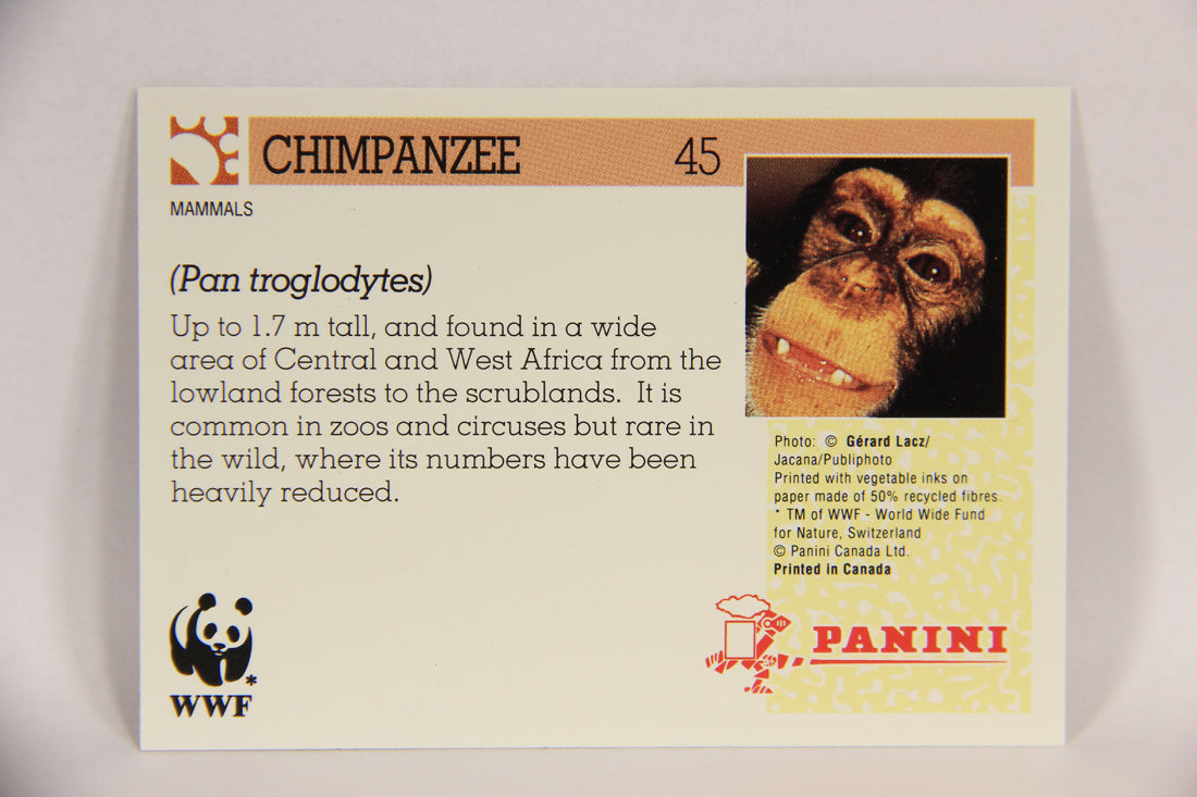 Wildlife In Danger WWF 1992 Trading Card #45 Chimpanzee ENG L016981