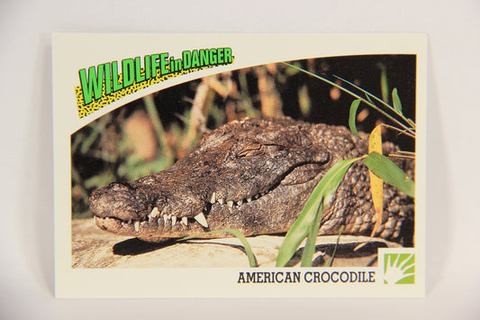 Wildlife In Danger WWF 1992 Trading Card #46 American Crocodile ENG L016982