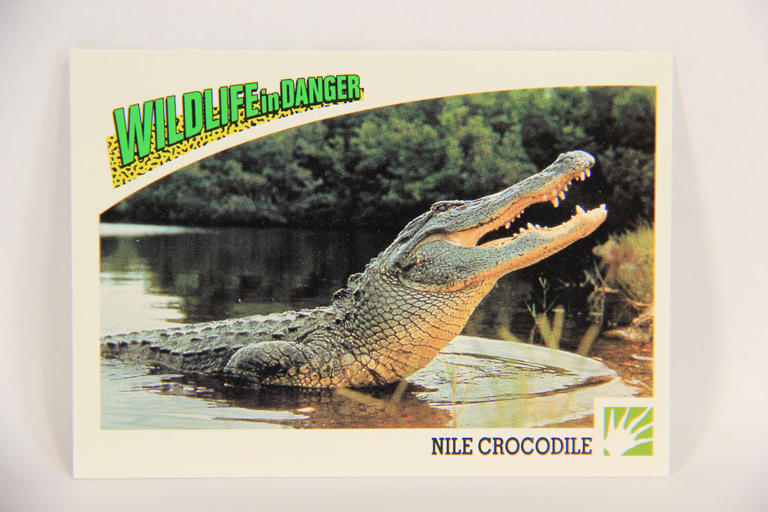 Wildlife In Danger WWF 1992 Trading Card #47 Nile Crocodile ENG L016983