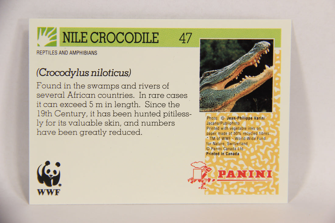 Wildlife In Danger WWF 1992 Trading Card #47 Nile Crocodile ENG L016983